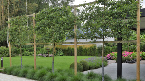 Tuinontwerp Limburg